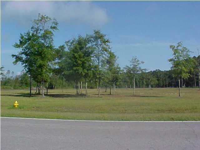 0 Highway 395 Point Santa Rosa Beach, FL 32459 - Photo 4 of 4 Gallery Image 4