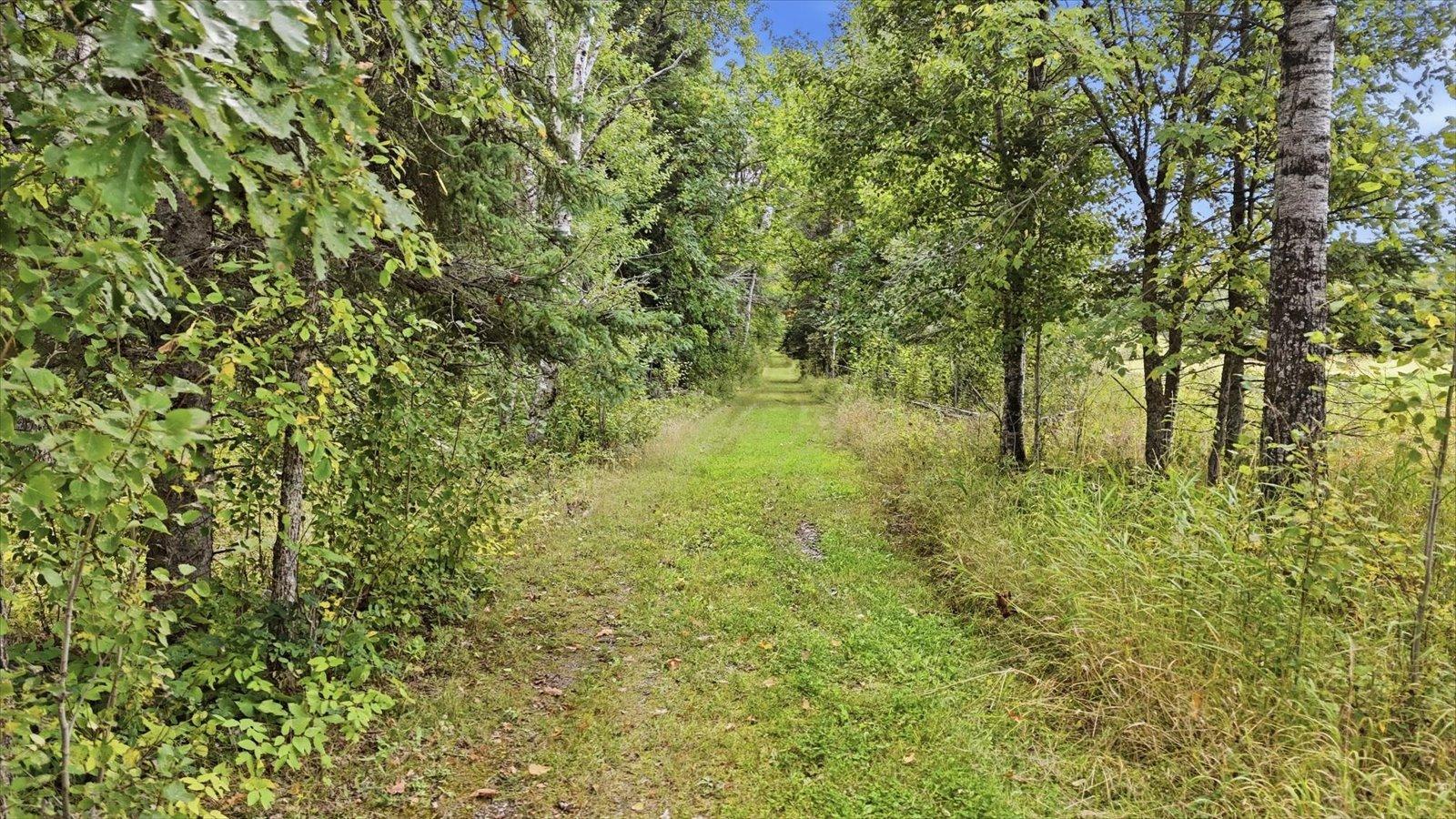 10104 Three Bridges Road Cook, MN 55723 - Photo 38 of 47 Gallery Image 38