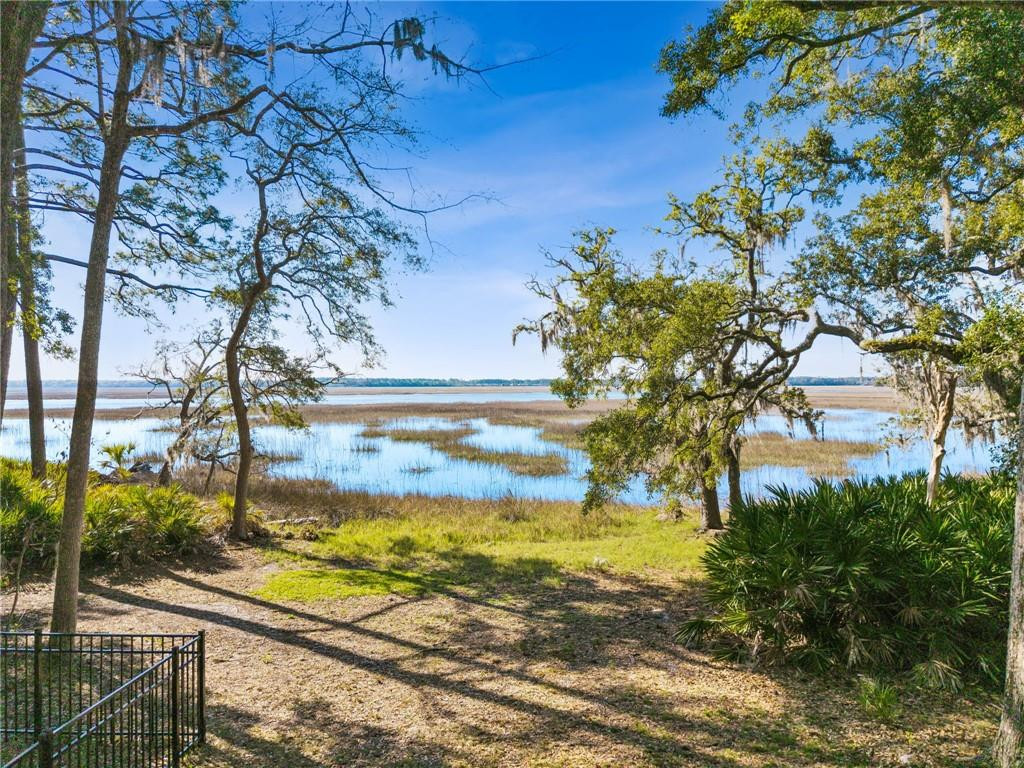 228 London Hill Road Woodbine, GA 31569 - Photo 3 of 52 Photo 3
