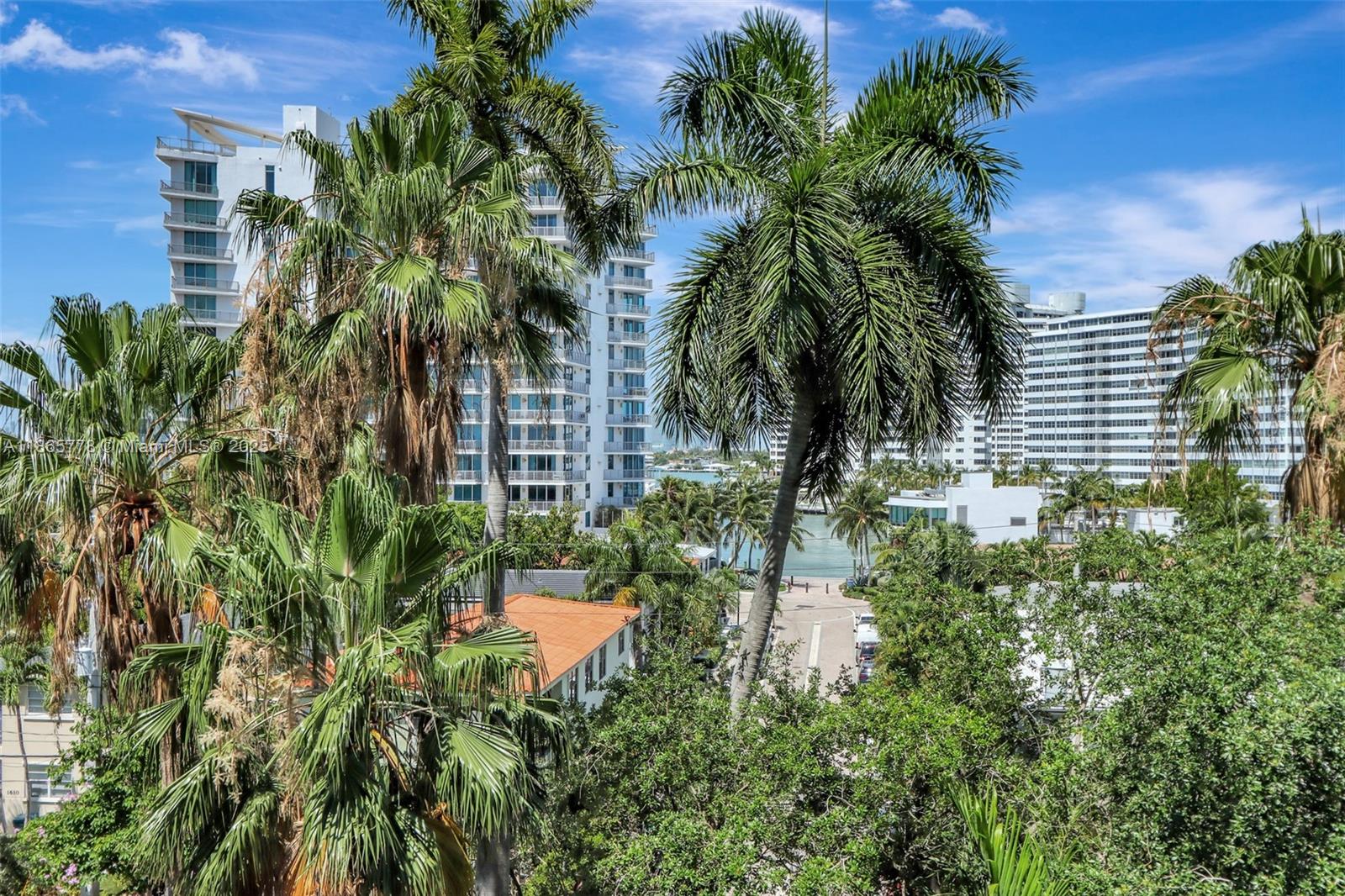 1621 Bay Road, Unit 506 Miami Beach, FL 33139 - Photo 2 of 26 a view of a yard and front of palm trees
