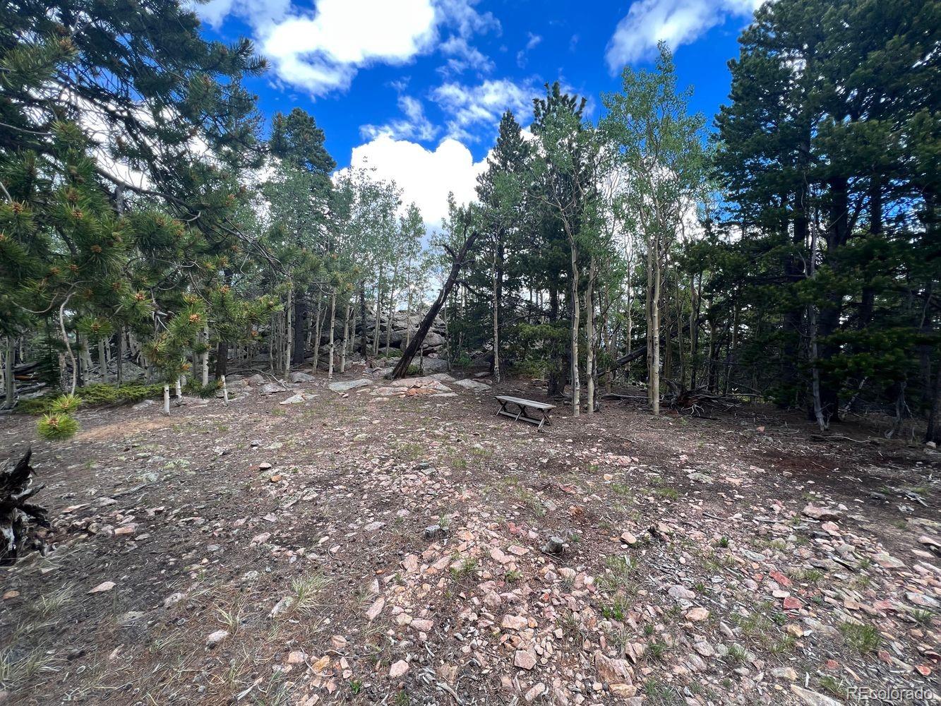 0 Hidden Wilderness Road Evergreen, CO 80439 - Photo 18 of 29