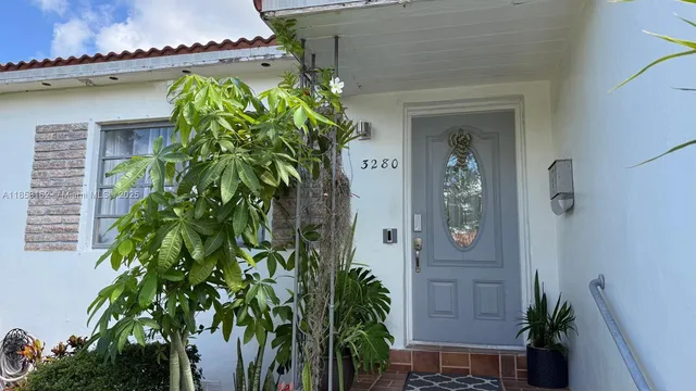 wooden floor with a potted plant