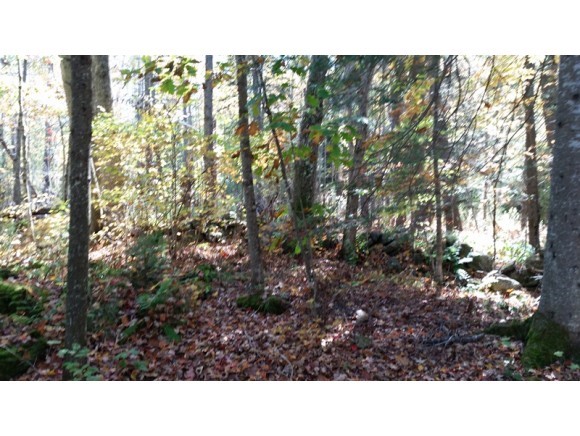 107 Ibey Road Enfield, NH 03748 - Photo 14 of 36