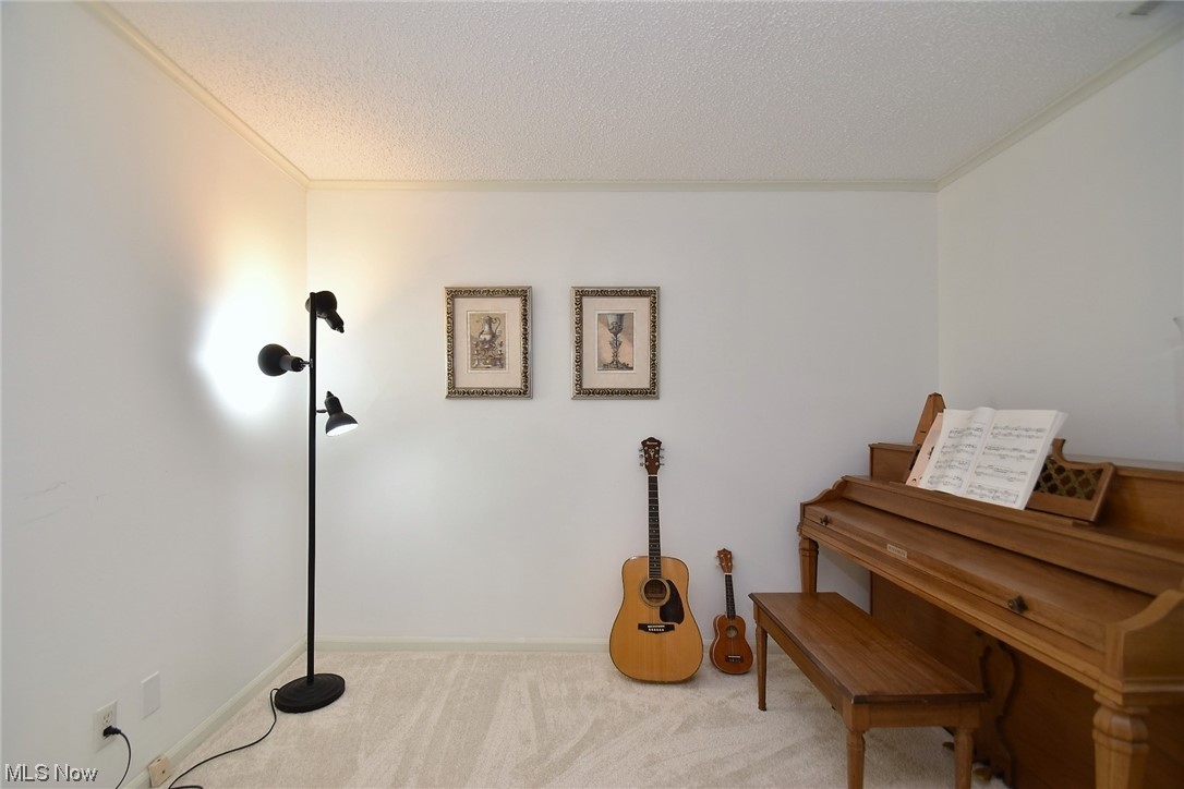 998 Som Center Road, Unit D1 Cleveland, OH 44143 - Photo 6 of 35 Gallery Image 6