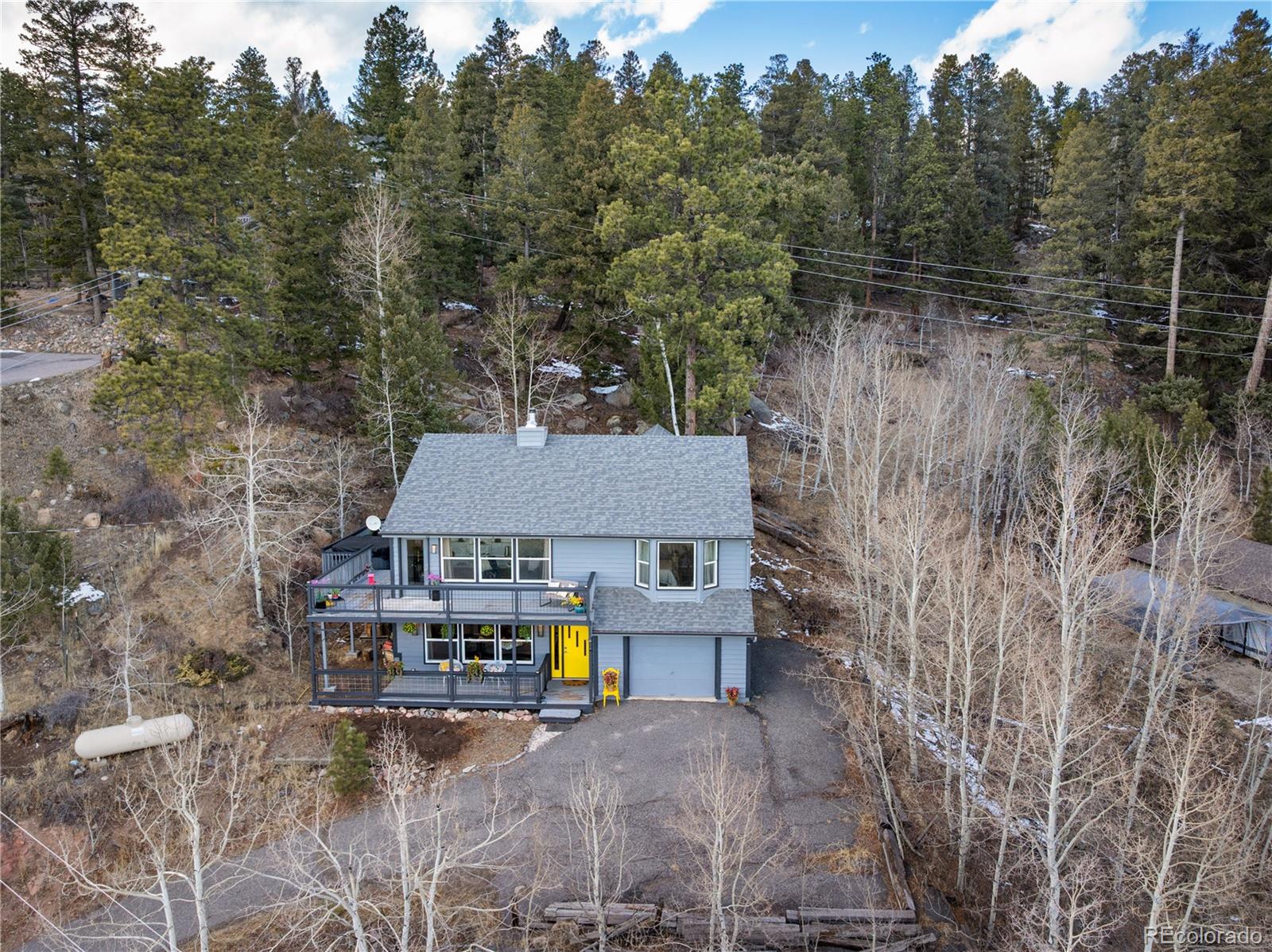 11740 Baca Road Conifer, CO 80433 - Photo 43 of 49 a aerial view of a house with swimming pool and trees