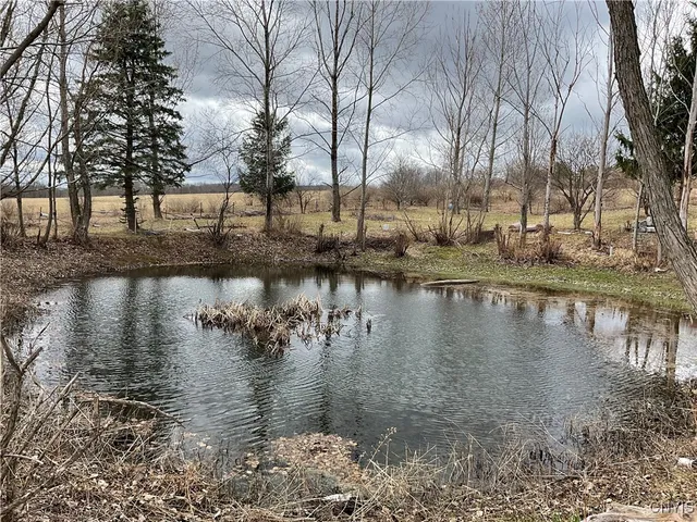 $40,000 | 171 Harvey Hill Road, Enfield, NY 14850
