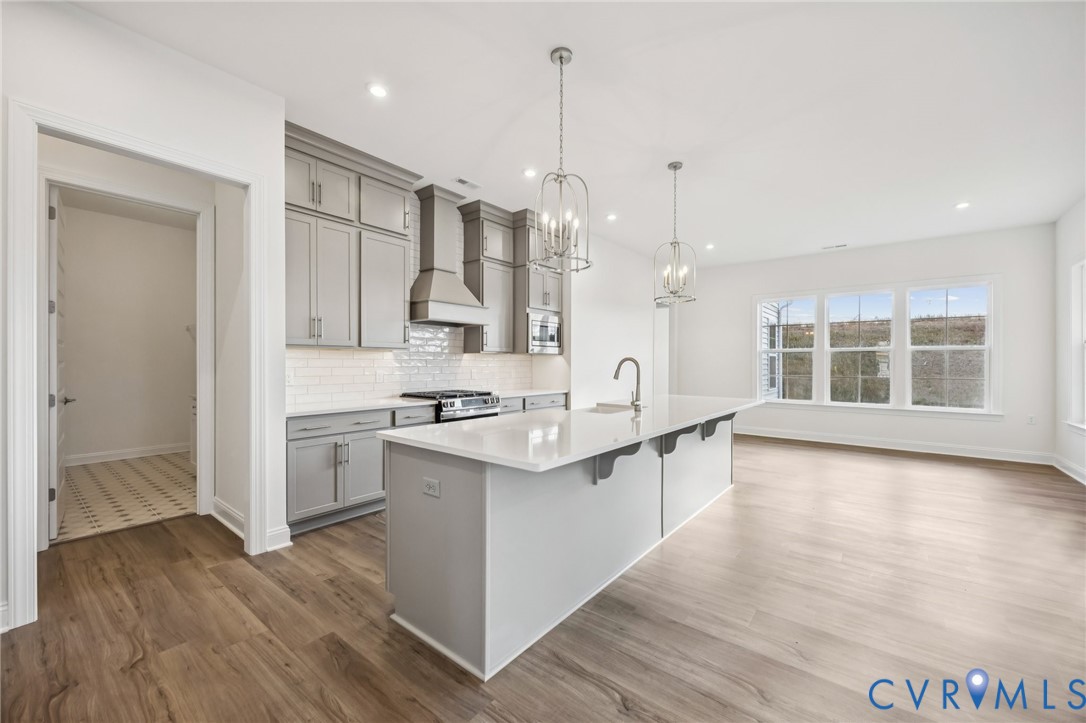 1042 Arbor Heights Terrace Midlothian, VA 23114 - Photo 3 of 35 a kitchen with stainless steel appliances a sink stove and cabinets