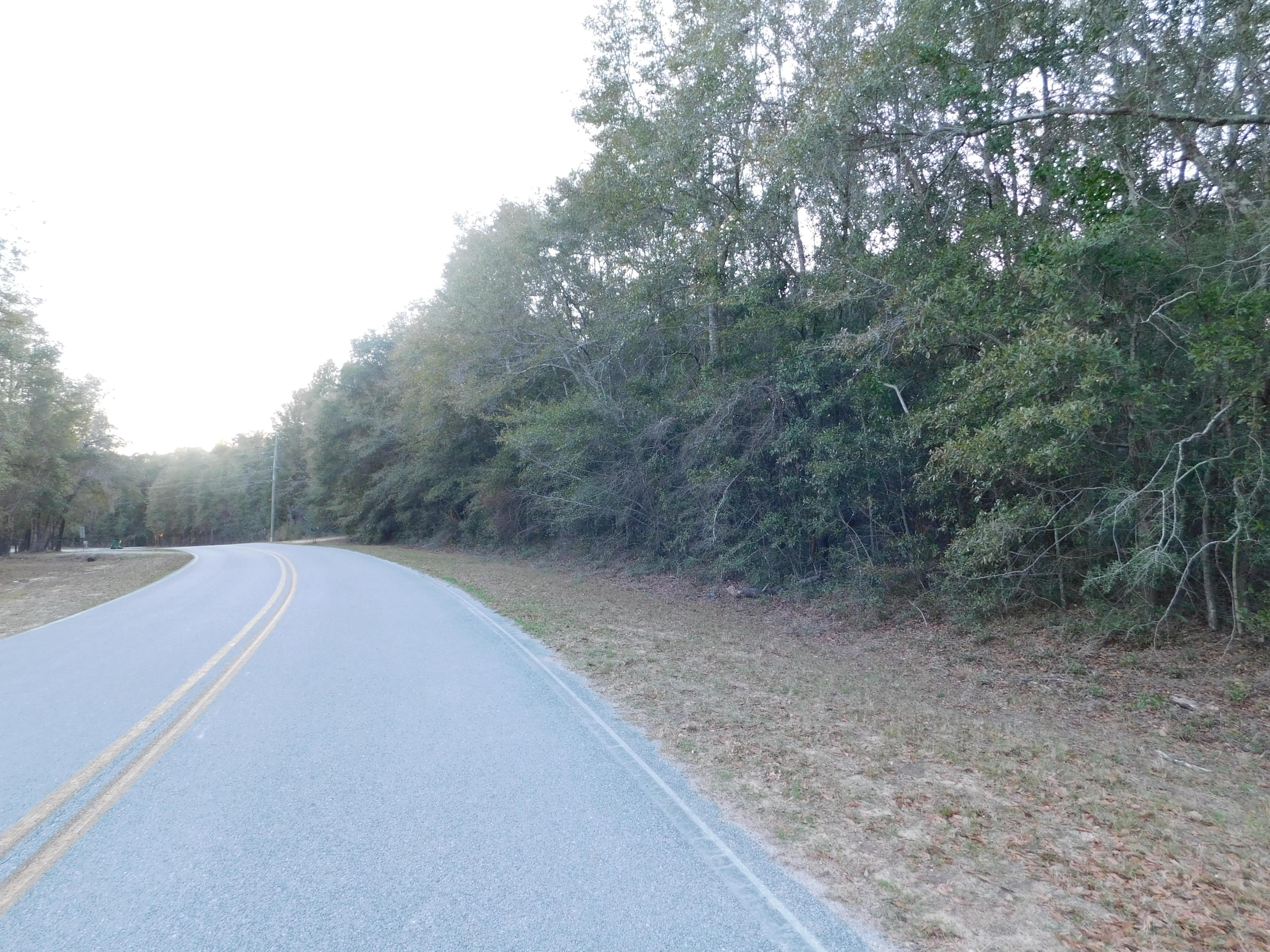 Xxx Cat Island Road DeFuniak Springs, FL 32433 - Photo 13 of 16 DSCN2086