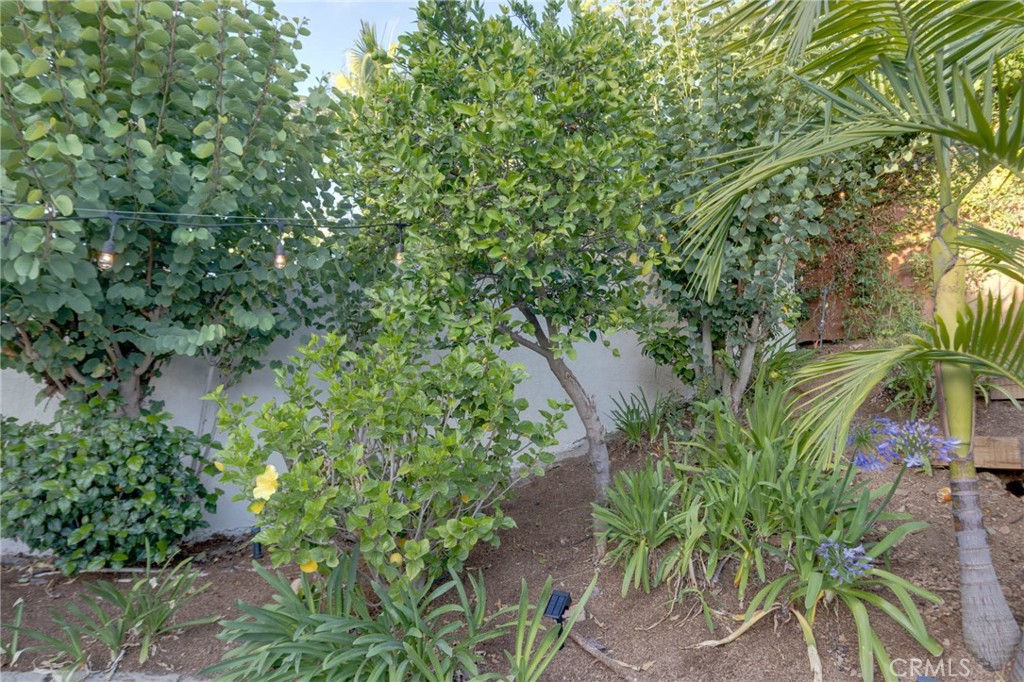 31952 Mill Stream Road Trabuco Canyon, CA 92679 - Photo 32 of 74