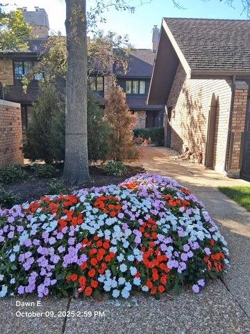 a bunch of flowers and fruits on a sidewalk
