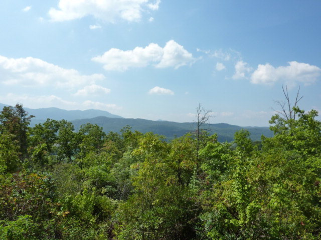 Main View