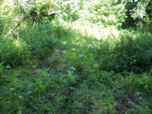 1 Big Run Road Wallingford, KY 41093 - Photo 15 of 15 Photo 15