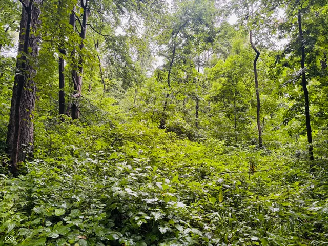 $110,000 | 0 Laurel Road, Laurel, IN 47024