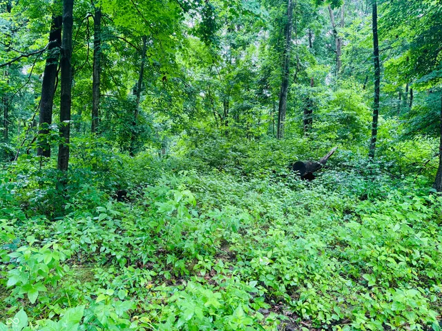 $110,000 | 0 Laurel Road, Laurel, IN 47024