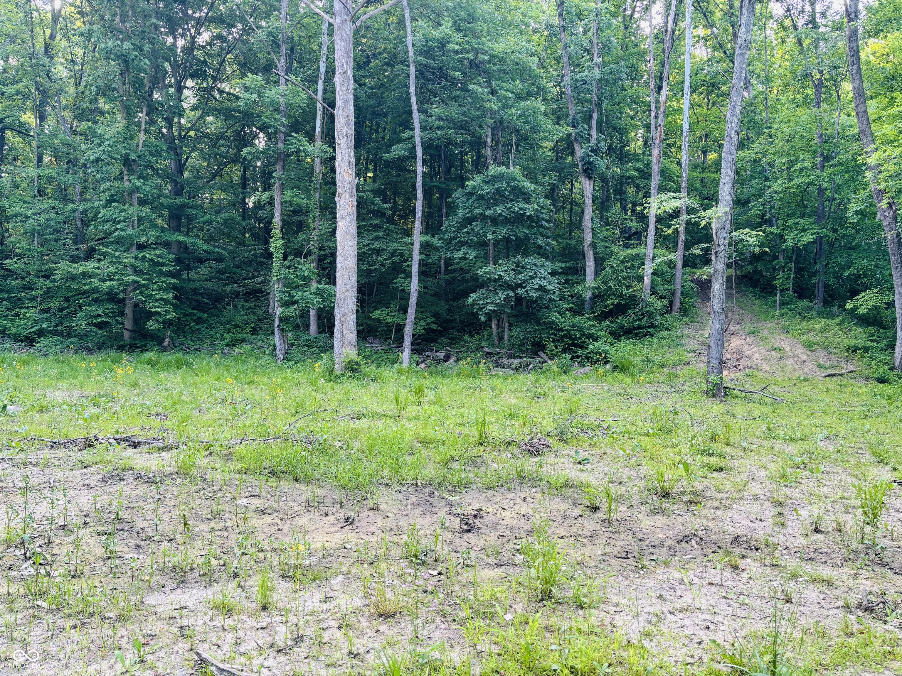 0 Laurel Road Laurel, IN 47024 - Photo 5 of 17