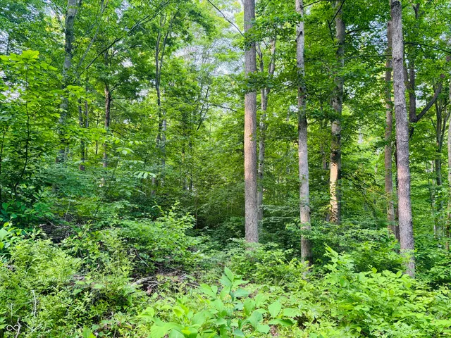 $110,000 | 0 Laurel Road, Laurel, IN 47024