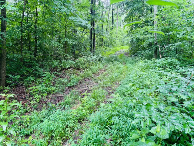 $110,000 | 0 Laurel Road, Laurel, IN 47024