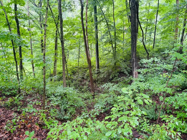 $110,000 | 0 Laurel Road, Laurel, IN 47024