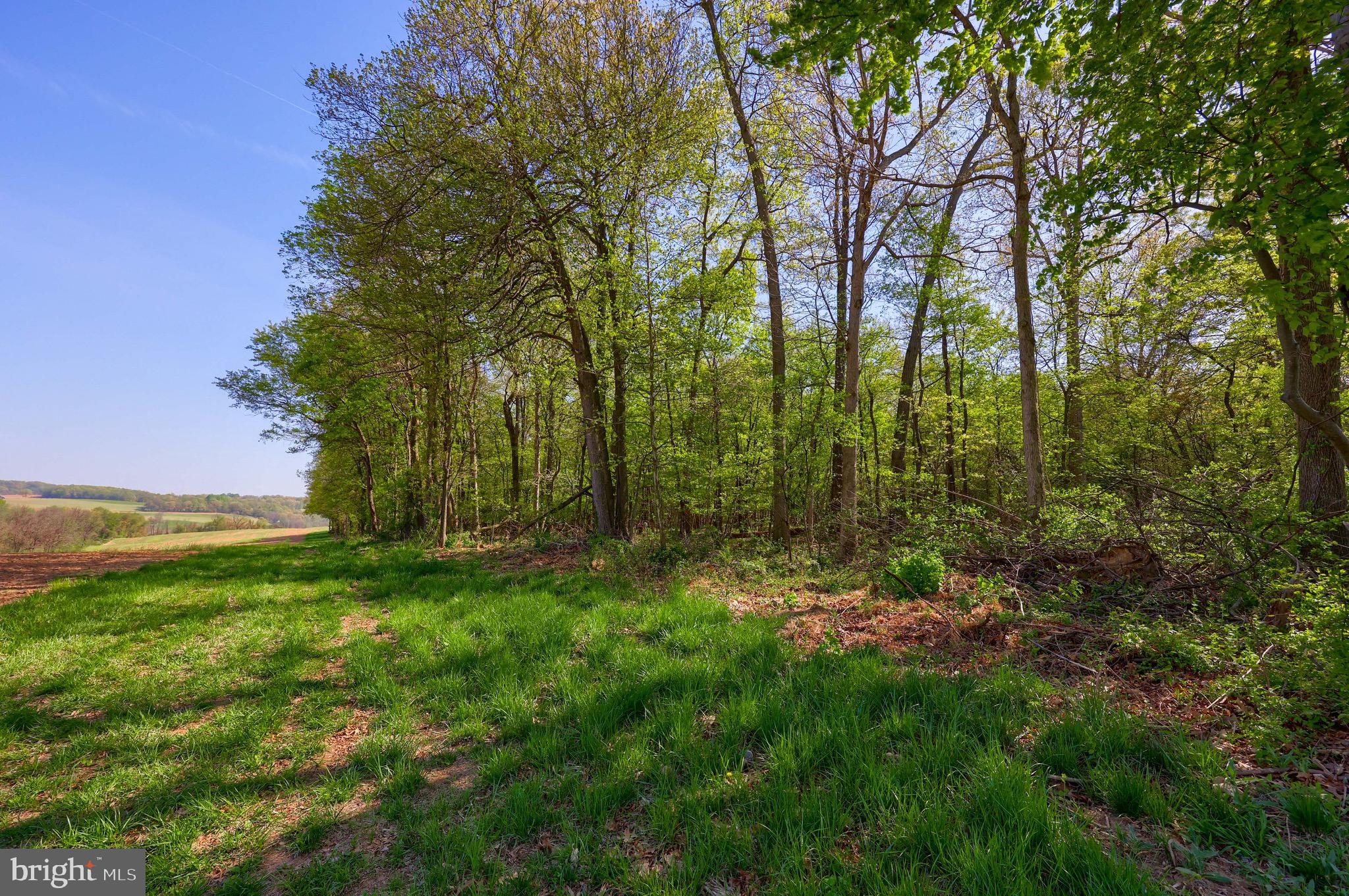 Lot 4 Ridge Road Fawn Grove, PA 17321 - Photo 18 of 20 Gallery Image 18