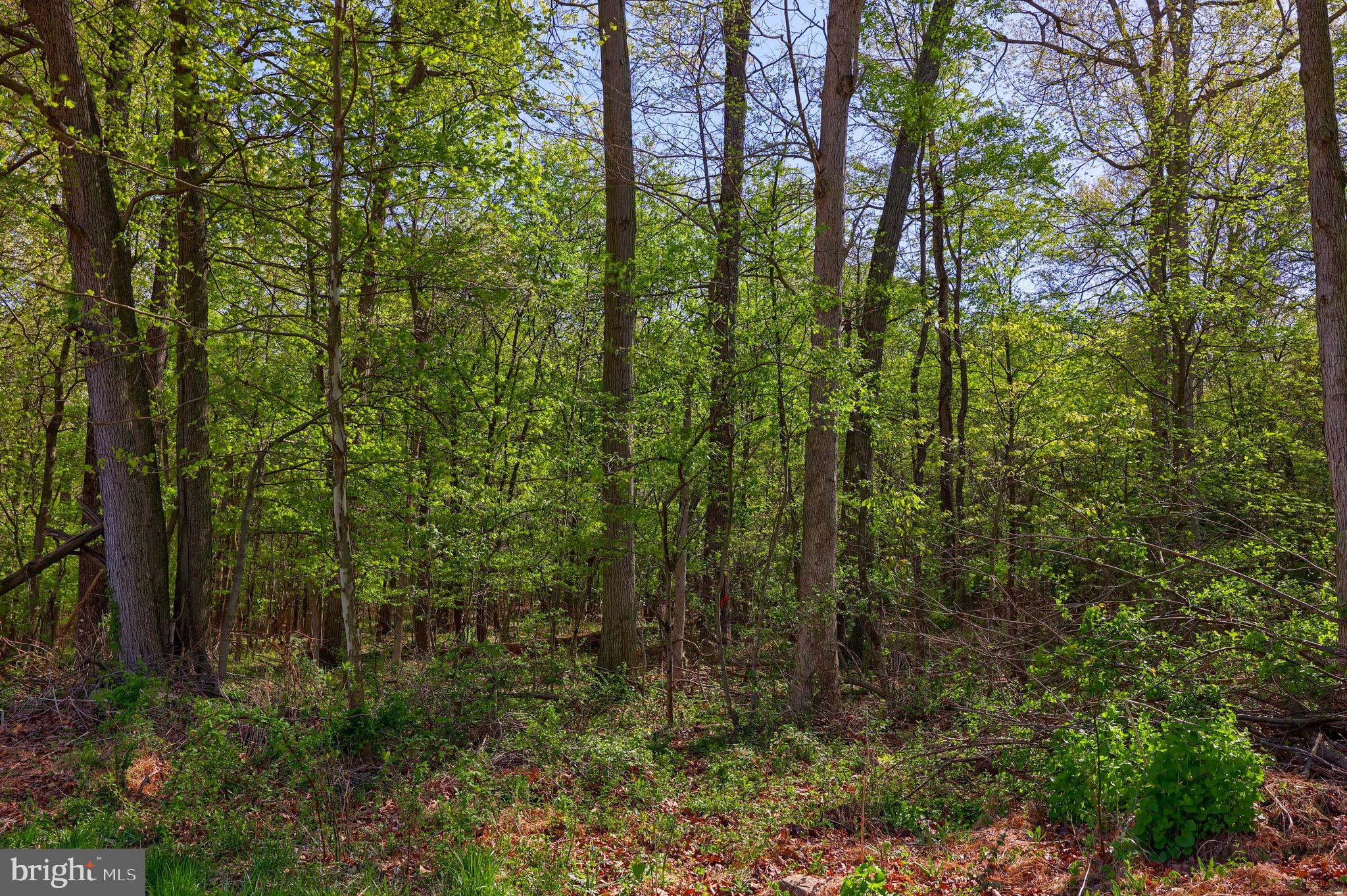 Lot 4 Ridge Road Fawn Grove, PA 17321 - Photo 19 of 20 Gallery Image 19