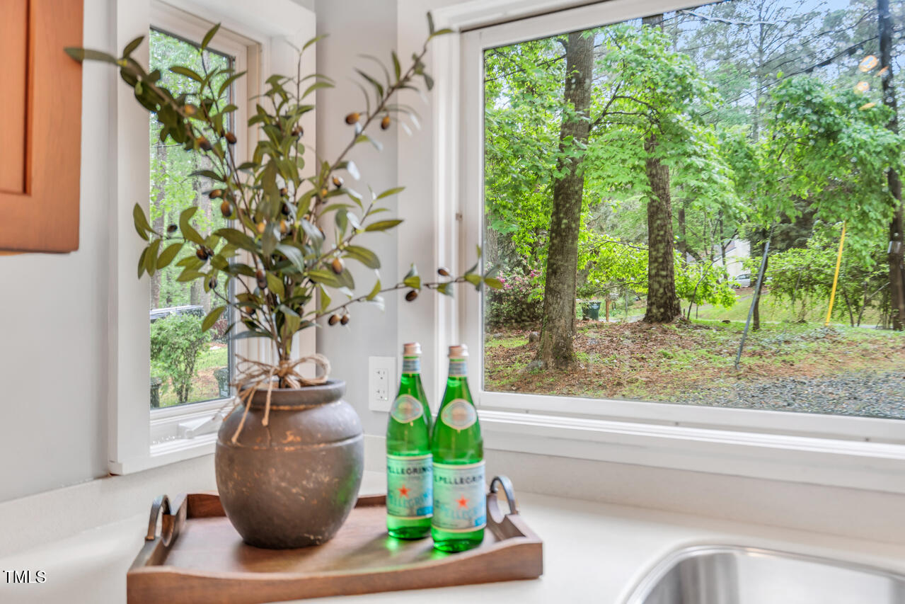 121 Lady Bug Lane Chapel Hill, NC 27516 - Photo 7 of 36 a plant sitting in a vase next to a window