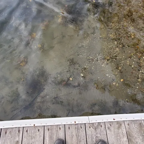 $59,900 | 13240 Devils Lake Road Northwest, Unit 20, Brandon, MN 56315