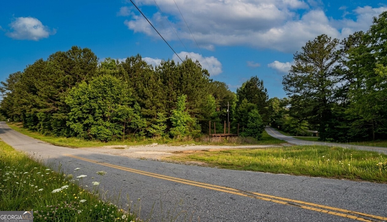 0 Collard Valley Road, Unit LOT 1 Cedartown, GA 30104 - Photo 2 of 8