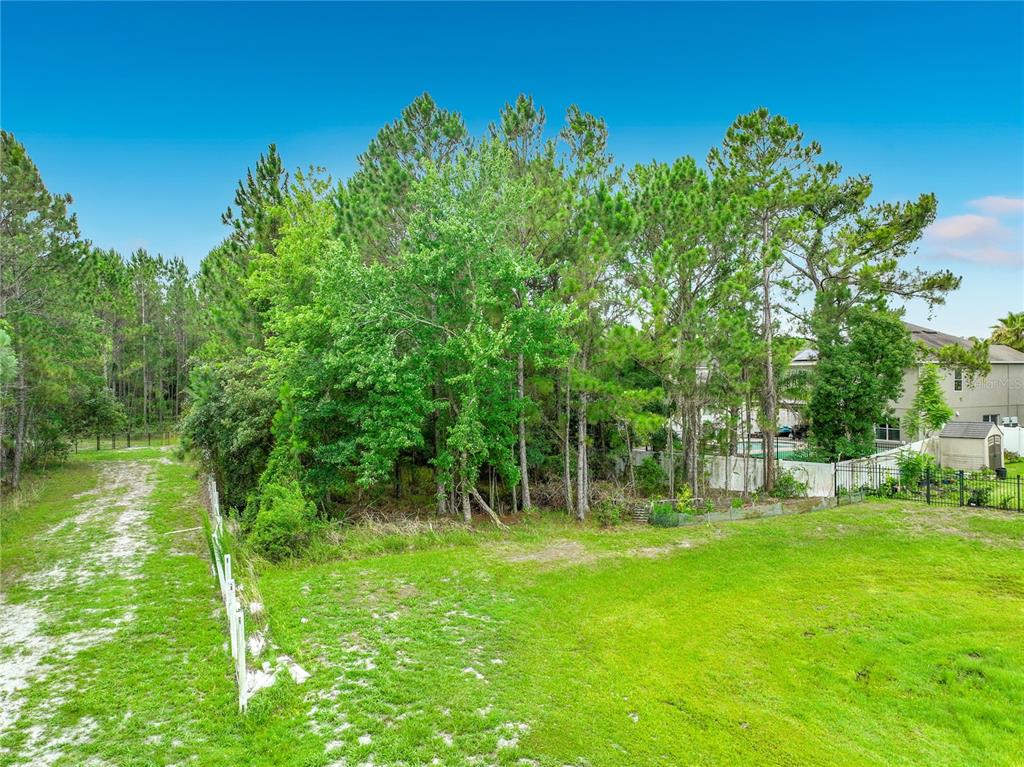 10672 Cabbage Tree Loop Orlando, FL 32825 - Photo 77 of 86