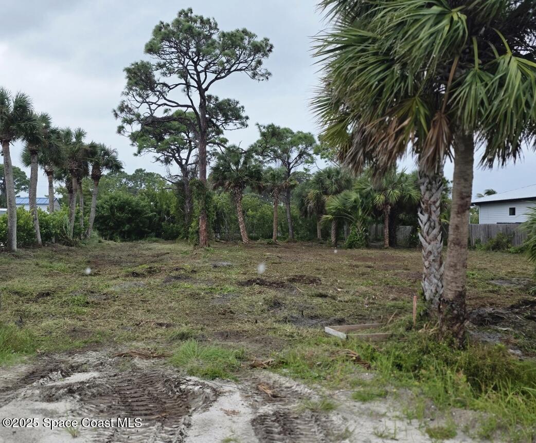 4830 U Route South Grant Valkaria, FL 32949 - Photo 2 of 5 a view of outdoor space with trees