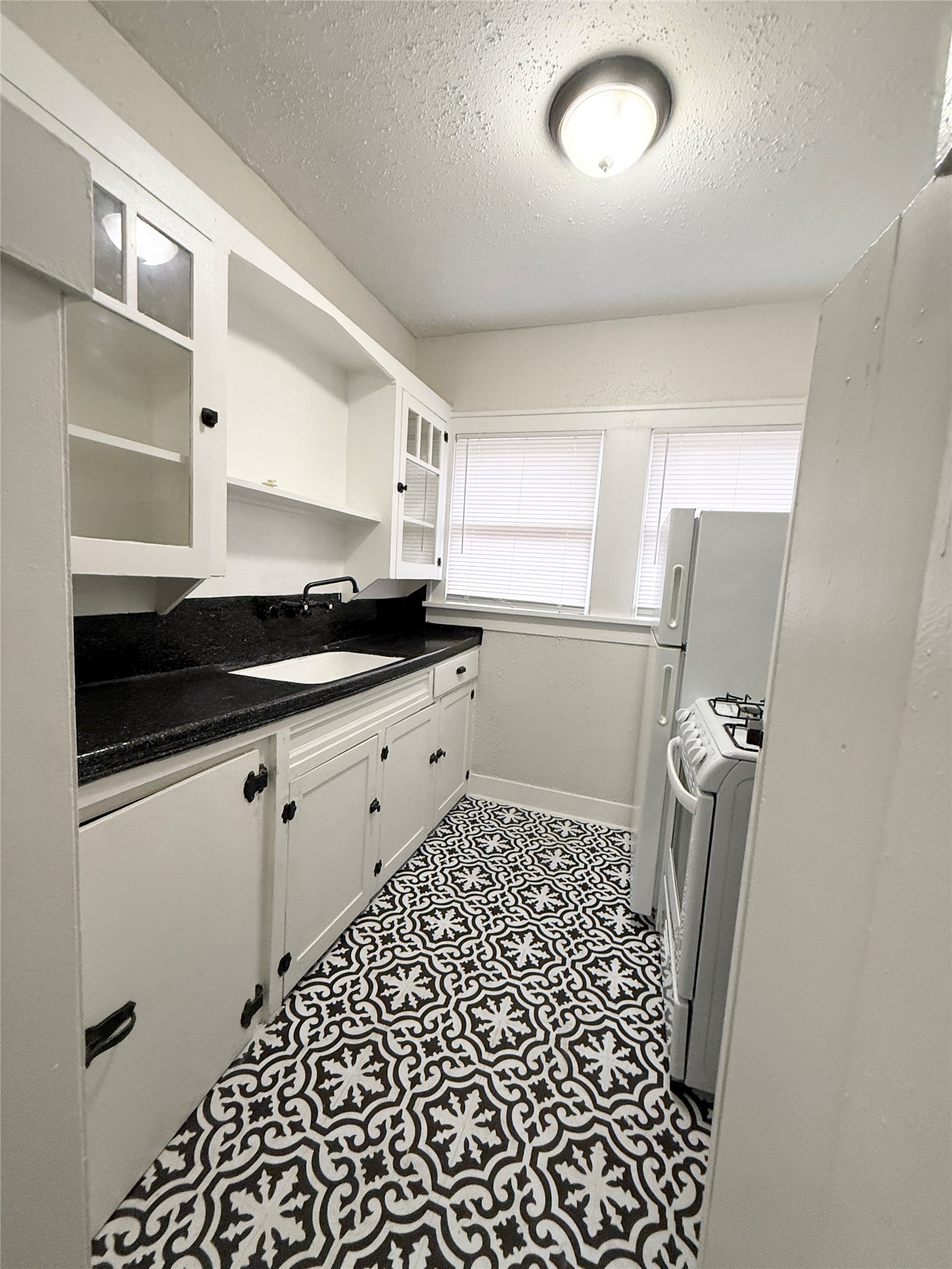 1136 Berthea Street, Unit 11 Houston, TX 77006 - Photo 10 of 14