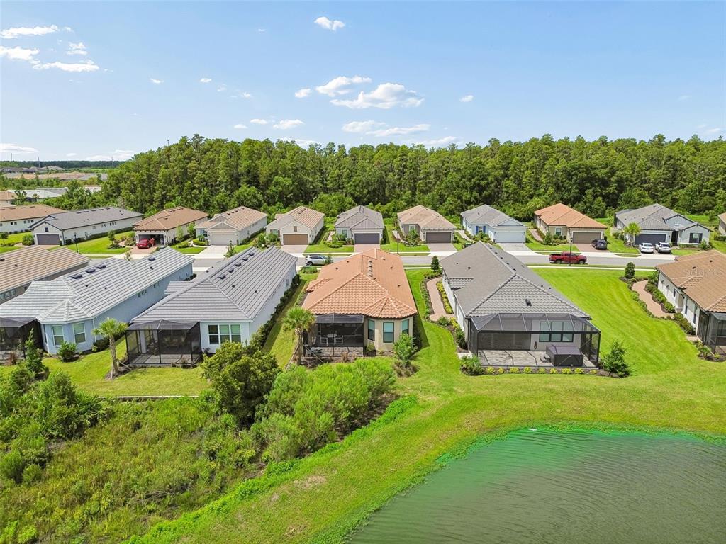 4618 Rosatti Road Wesley Chapel, FL 33543 - Photo 77 of 100 Gallery Image 77