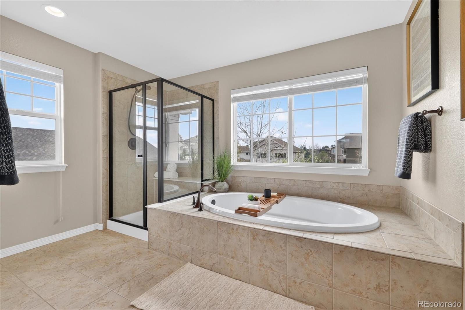 2565 Red Hawk Ridge Drive Castle Rock, CO 80109 - Photo 26 of 50