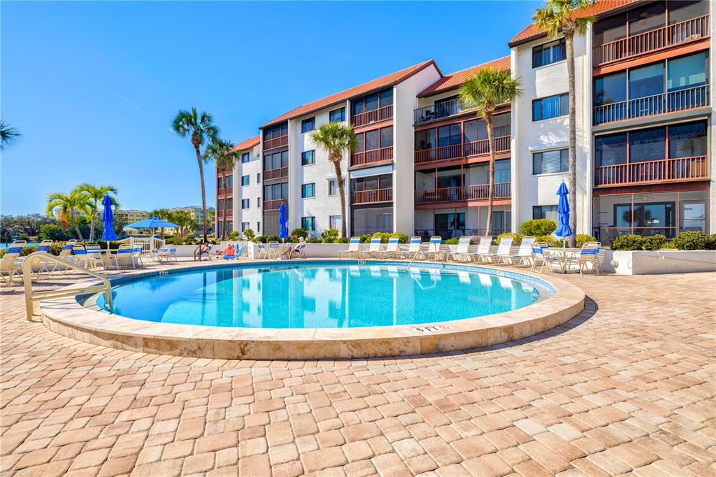 1602 Stickney Point Road, Unit 307 Sarasota, FL 34231 - Photo 46 of 56 a view of a swimming pool with a lounge chairs