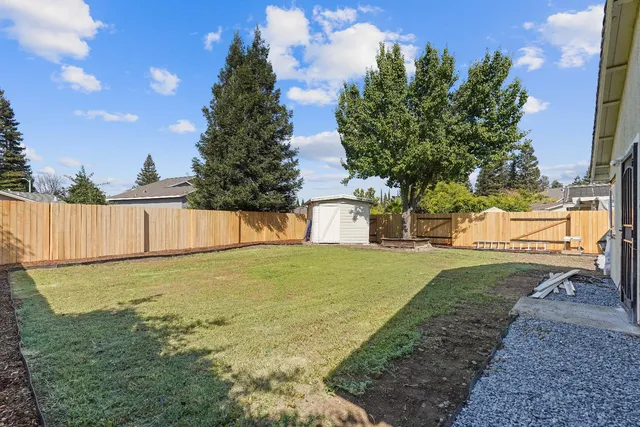 a view of a backyard with large trees