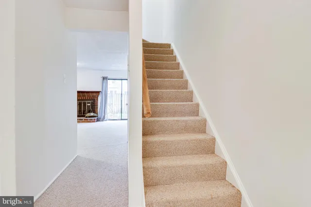 a view of backyard with tree and wooden fence