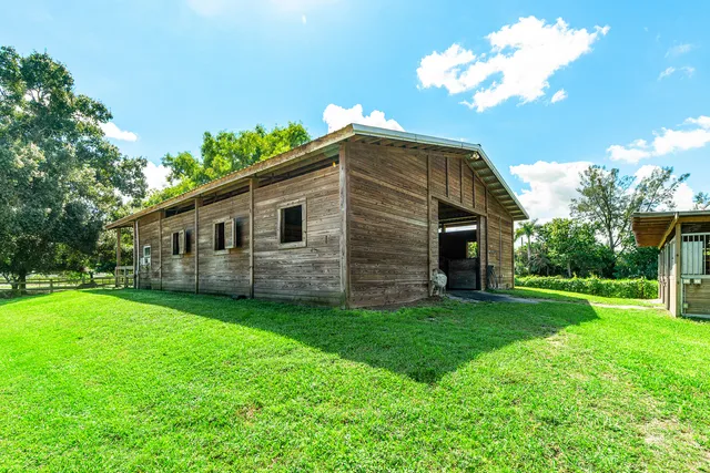 a view of a garden with plants