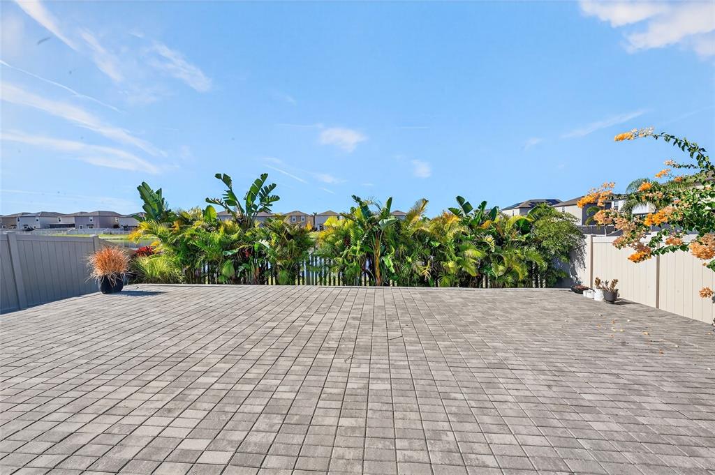 16751 Delia Street Wimauma, FL 33598 - Photo 26 of 36 a view of a plants