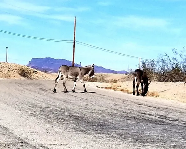 $275,000 | 5800 Modoc Trail, Big River, CA 92242