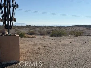 a view of a backyard with plants and a patio