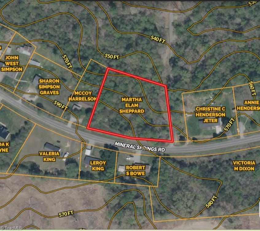 0 Mineral Springs Road Pelham, NC 27311 - Photo 2 of 6