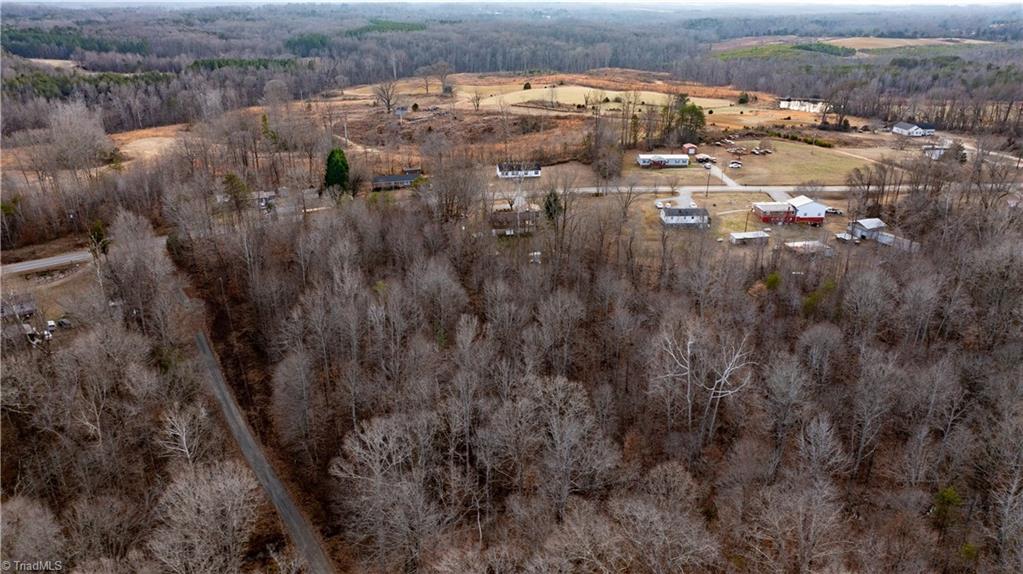 0 Mineral Springs Road Pelham, NC 27311 - Photo 4 of 6