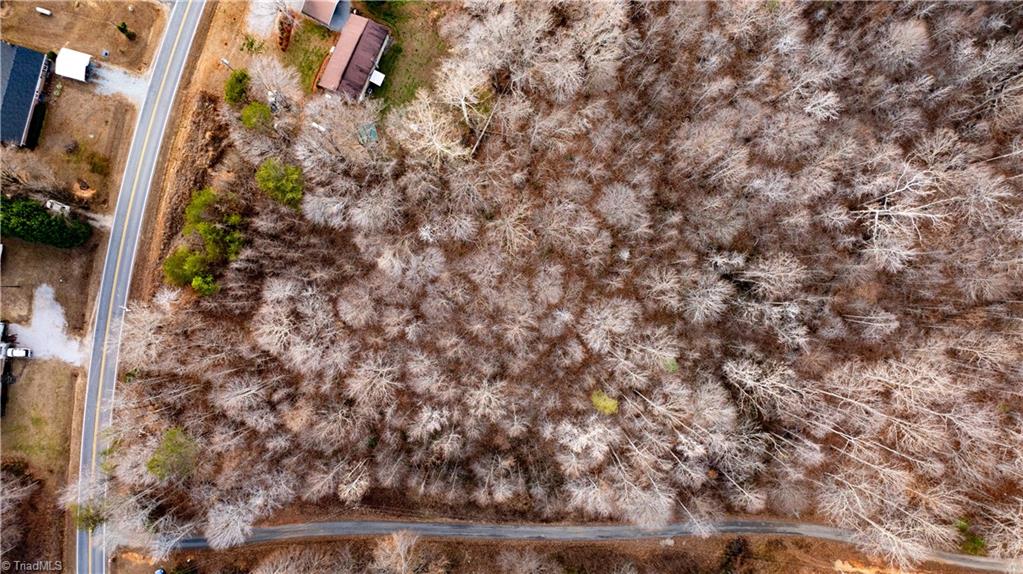 0 Mineral Springs Road Pelham, NC 27311 - Photo 6 of 6