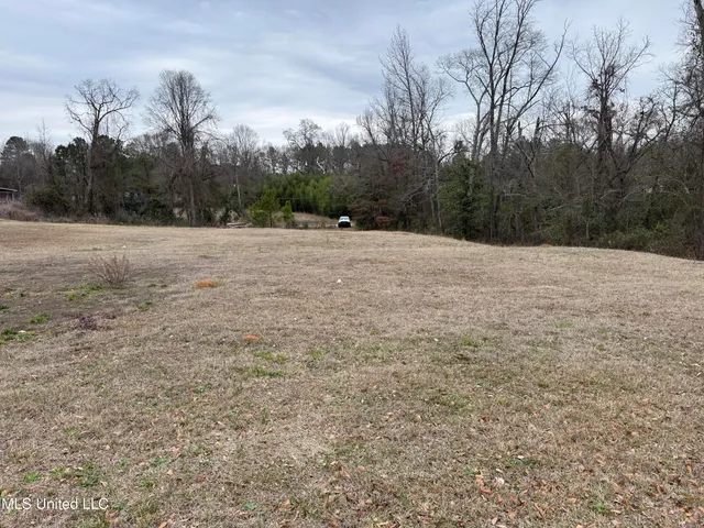 $250,000 | 289 West Beacon Street, Philadelphia, MS 39350