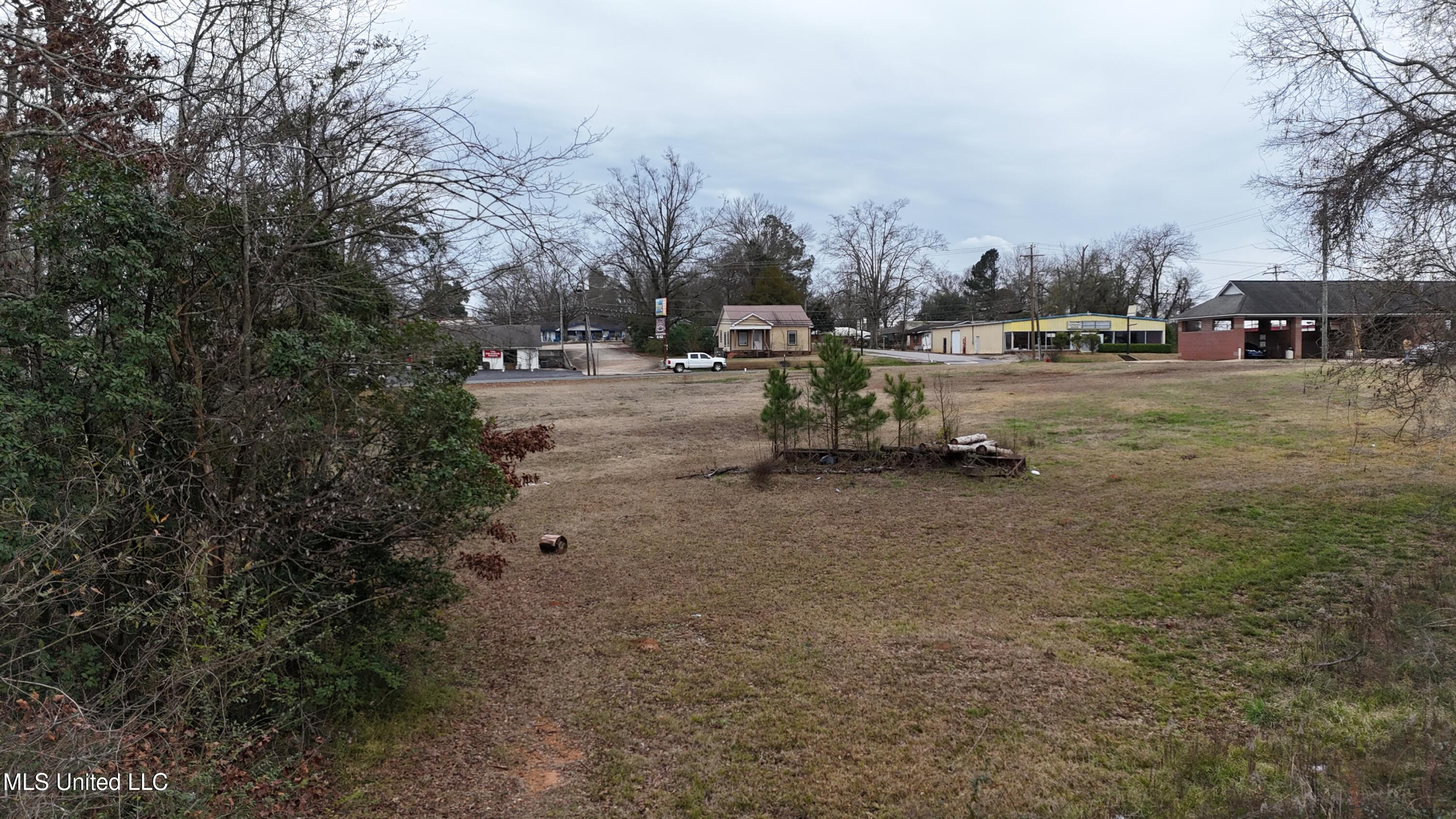 289 West Beacon Street Philadelphia, MS 39350 - Photo 8 of 14 DJI_20260117134831_0075_D