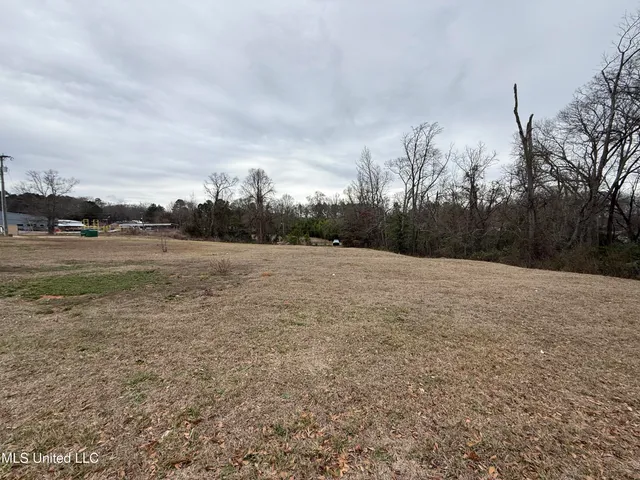 $250,000 | 289 West Beacon Street, Philadelphia, MS 39350