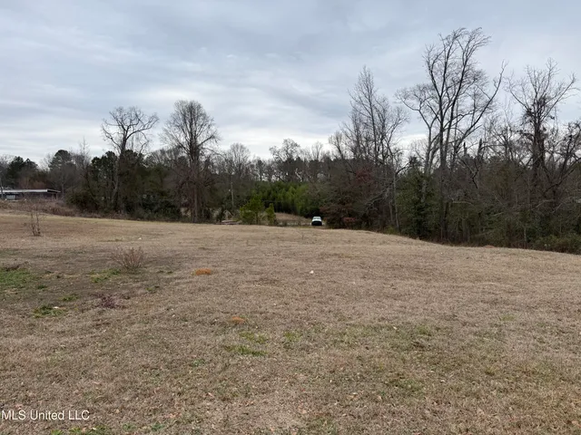 $250,000 | 289 West Beacon Street, Philadelphia, MS 39350