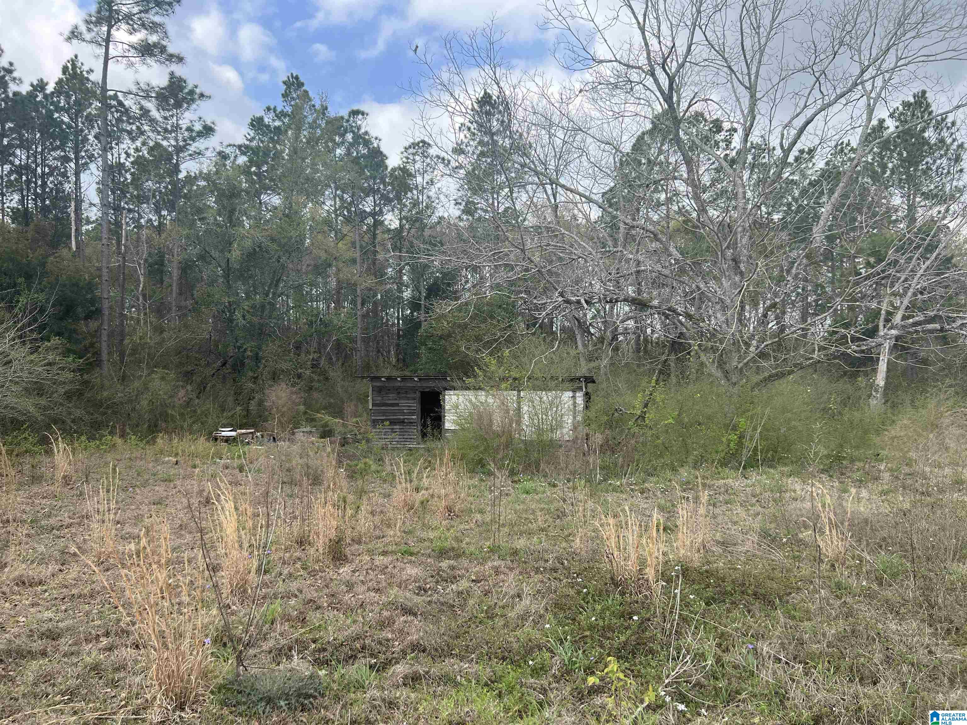 971 Freddie Whiddon Road Webb, AL 36376 - Photo 3 of 3
