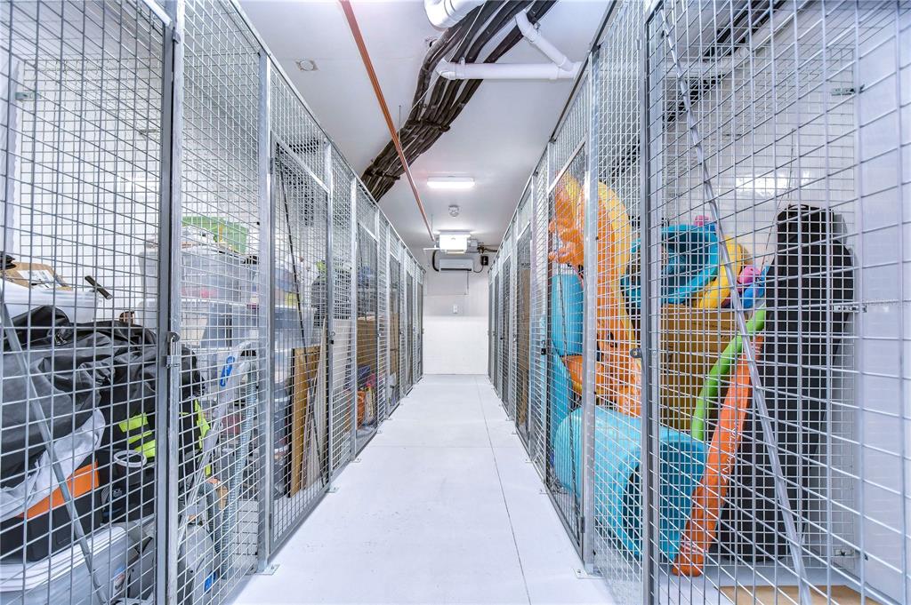 755 Collany Road, Unit 508 St. Petersburg, FL 33715 - Photo 95 of 99 Storage room with private locker