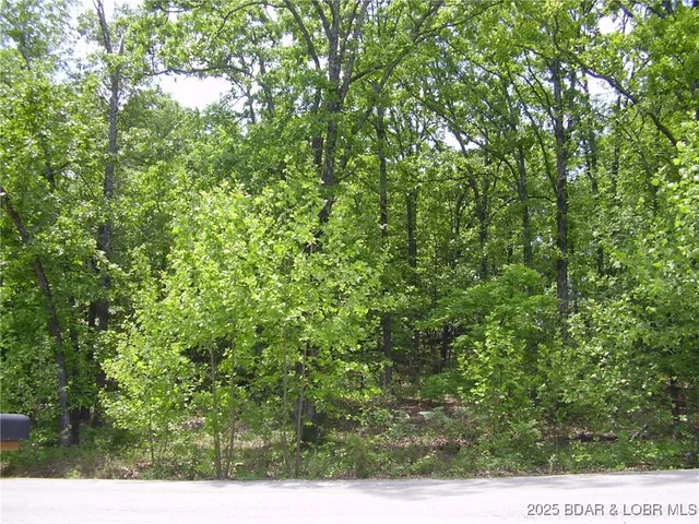 $15,000 | 19 Silver Spur Court, Camdenton, MO 65020