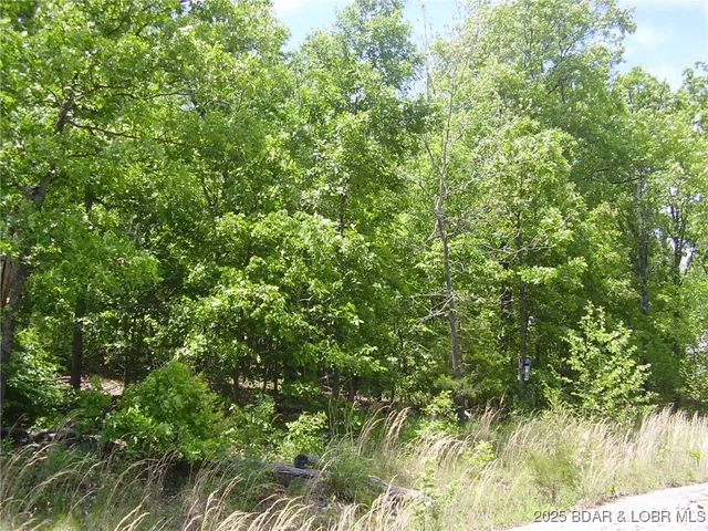 $15,000 | 19 Silver Spur Court, Camdenton, MO 65020